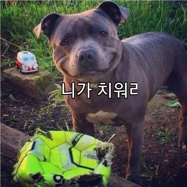 니가 치워라 쭈인!