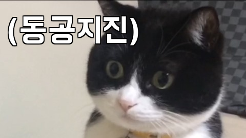 (동공지진)