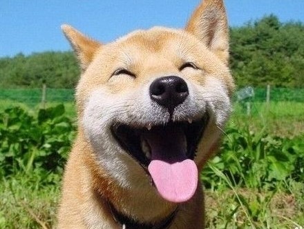 미소